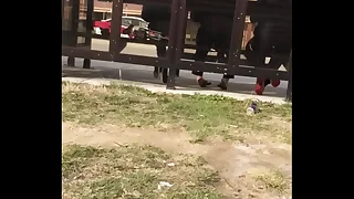 adult Latina abusive soles